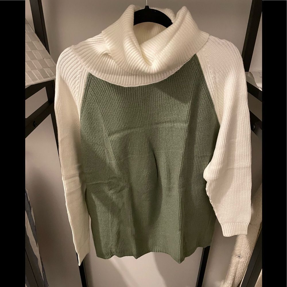 Beautiful Turtleneck Sweater
